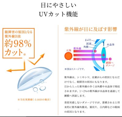 画像2: エルコンワンデー55