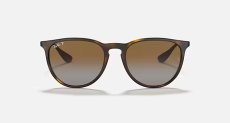 画像2: 【30%OFF】Ray-Ban正規品レイバン  ERIKA （エリカ） RB4171F 710/T5 54-18  (2)