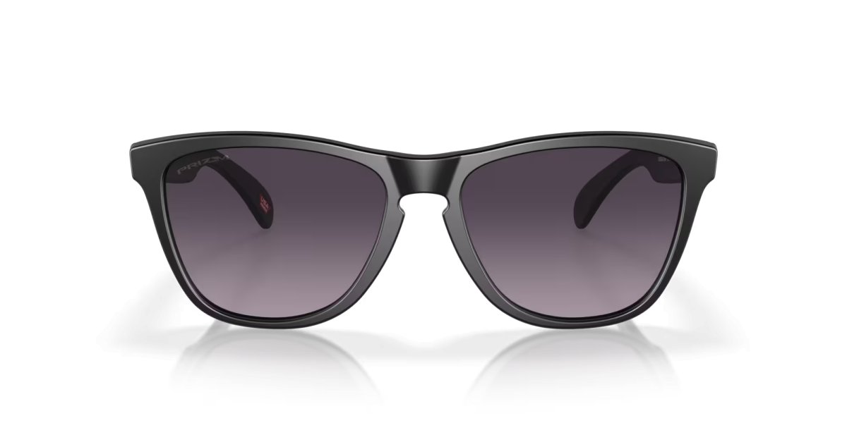 画像2: 【30%OFF】OAKLEY正規販売品オークリーサングラス OO9245-D054 Frogskins（フロッグスキン） (Low Bridge Fit) (2)