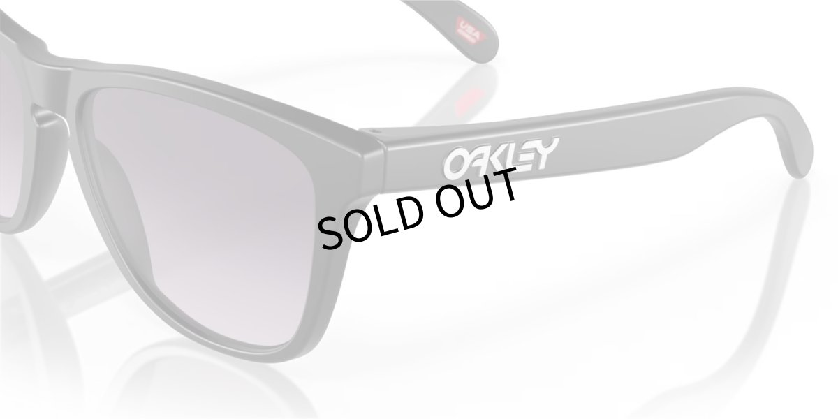 画像6: 【30%OFF】OAKLEY正規販売品オークリーサングラス OO9245-D054 Frogskins（フロッグスキン） (Low Bridge Fit) (6)