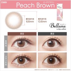 画像7: ベルミー　Belleme　10枚入り　全7色 (7)